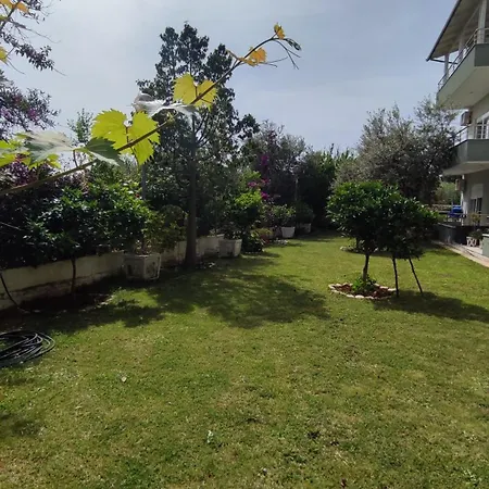 Olivio, 호텔 Dhërmi