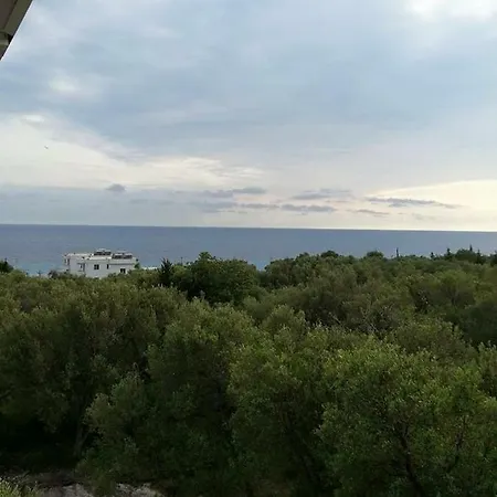 Olivio, * Dhërmi